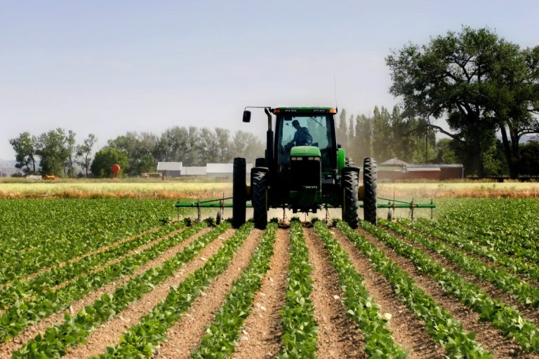 Si do të bëhet kompensimi i fermerëve për TVSH, tatimet sqarojnë procedurën dhe afatet